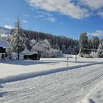 Dapfusterer Tatil Evi Bad Mitterndorf