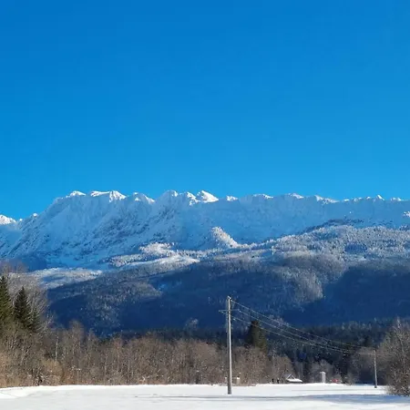 度假居 Dapfusterer 巴德米滕多夫