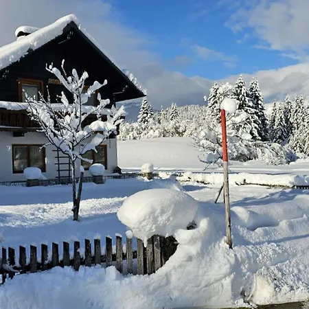 Dapfusterer Bad Mitterndorf