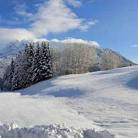 度假居 Dapfusterer