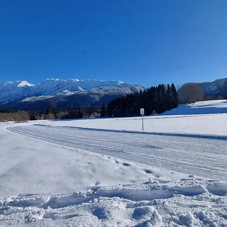 Tatil Evi Dapfusterer Bad Mitterndorf