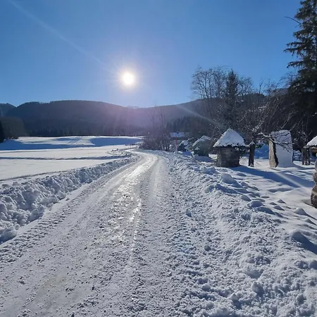 Tatil Evi Dapfusterer