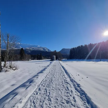 Tatil Evi Dapfusterer Bad Mitterndorf