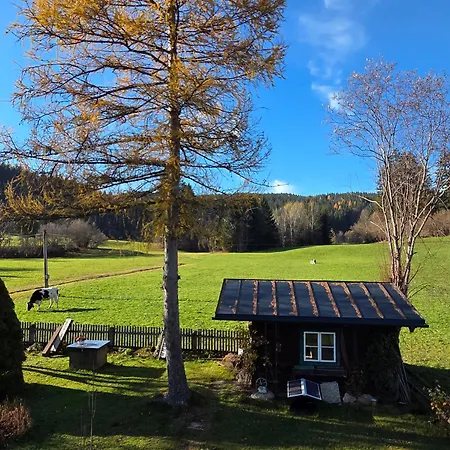 Tatil Evi Dapfusterer *