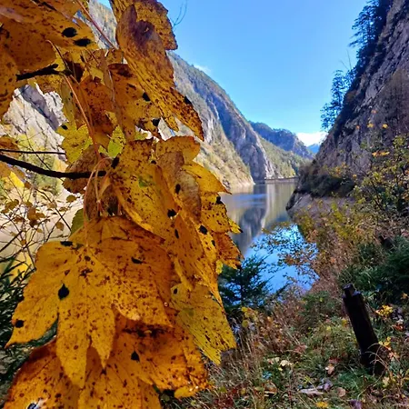 Tatil Evi Dapfusterer Bad Mitterndorf