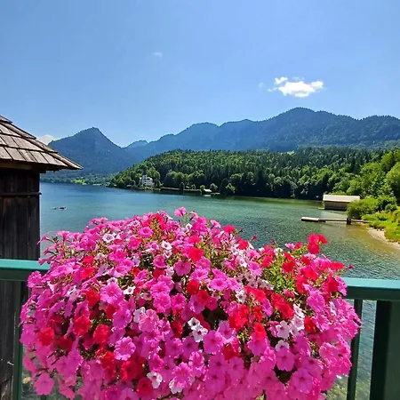 Dapfusterer Tatil Evi *