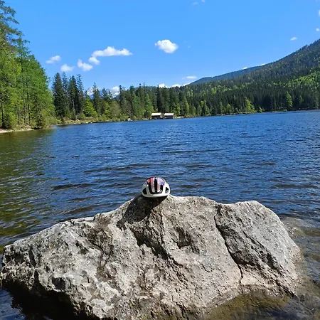 Dapfusterer Tatil Evi