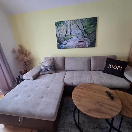 Dapfusterer 巴德米滕多夫