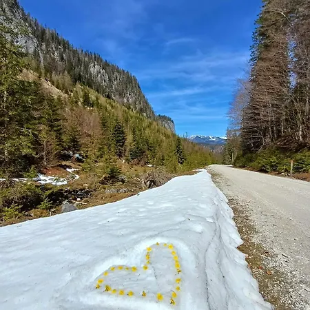 度假居 Dapfusterer