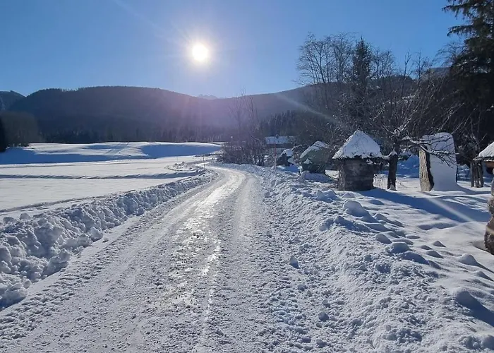 Dapfusterer Prázdninový dům