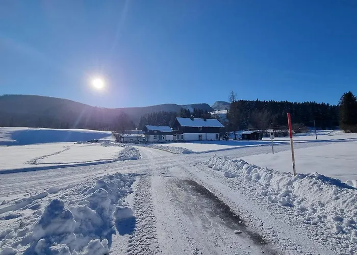 Prázdninový dům Dapfusterer