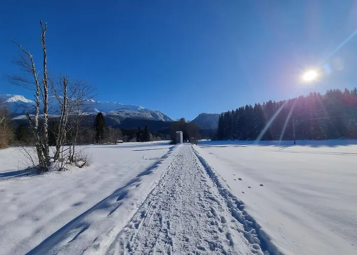 Prázdninový dům Dapfusterer