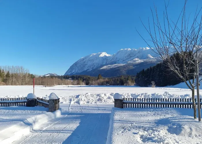 Prázdninový dům Dapfusterer *