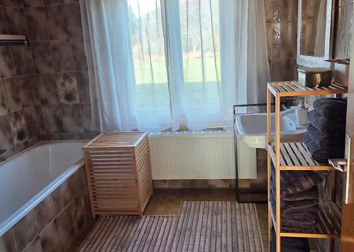 Dapfusterer Bad Mitterndorf