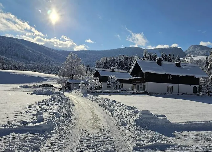 Dapfusterer * Bad Mitterndorf