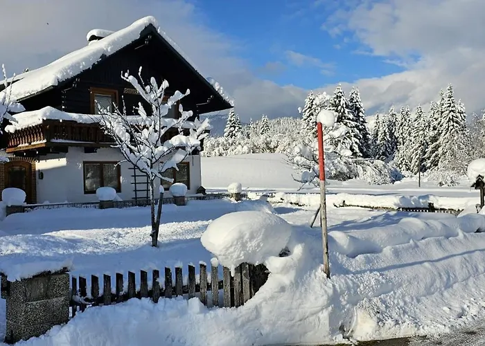 Dapfusterer Bad Mitterndorf