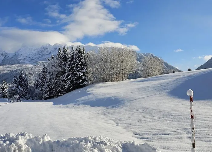 Prázdninový dům Dapfusterer