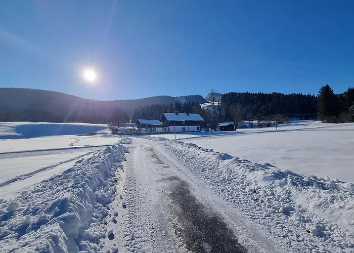 Prázdninový dům Dapfusterer *