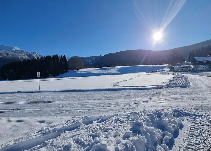 Dapfusterer Prázdninový dům