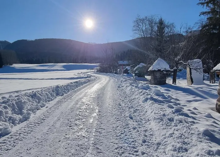 Prázdninový dům Dapfusterer