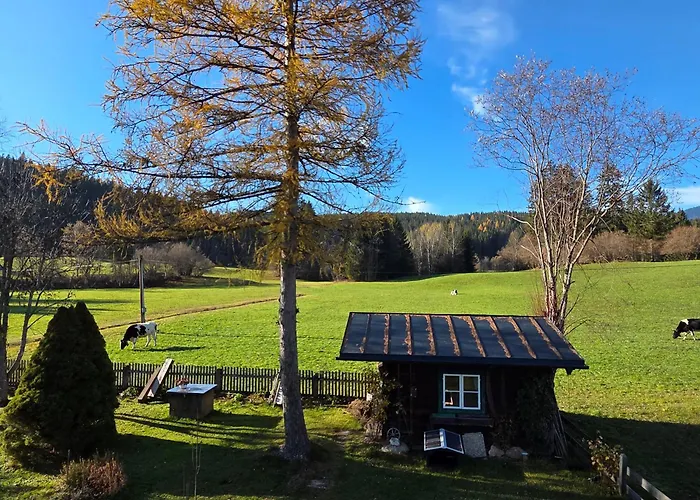 Prázdninový dům Dapfusterer *