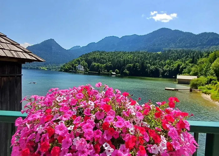 Dapfusterer Prázdninový dům *