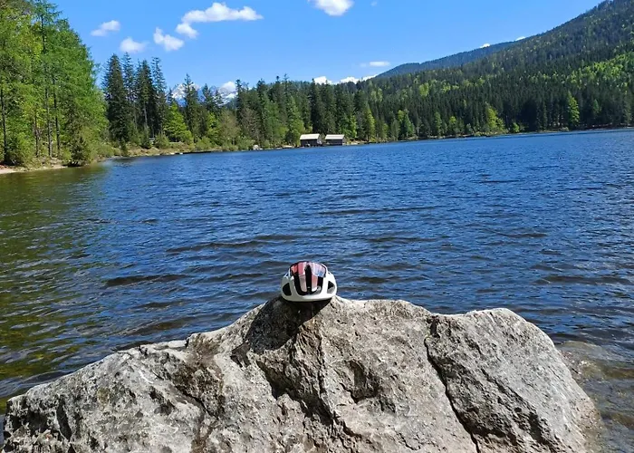 Dapfusterer Prázdninový dům