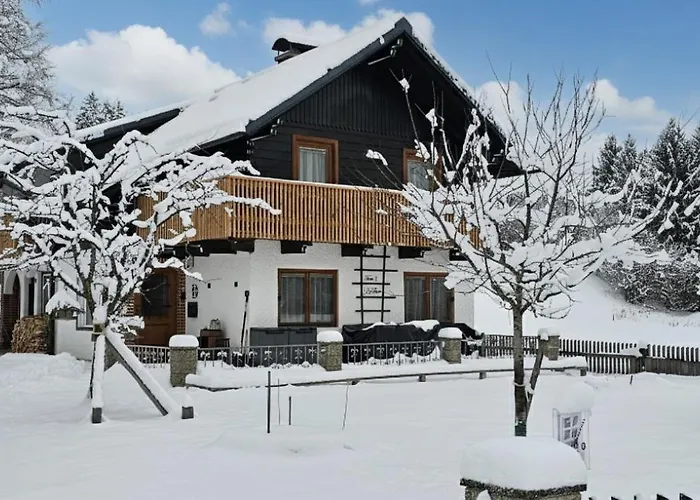 Dapfusterer Prázdninový dům